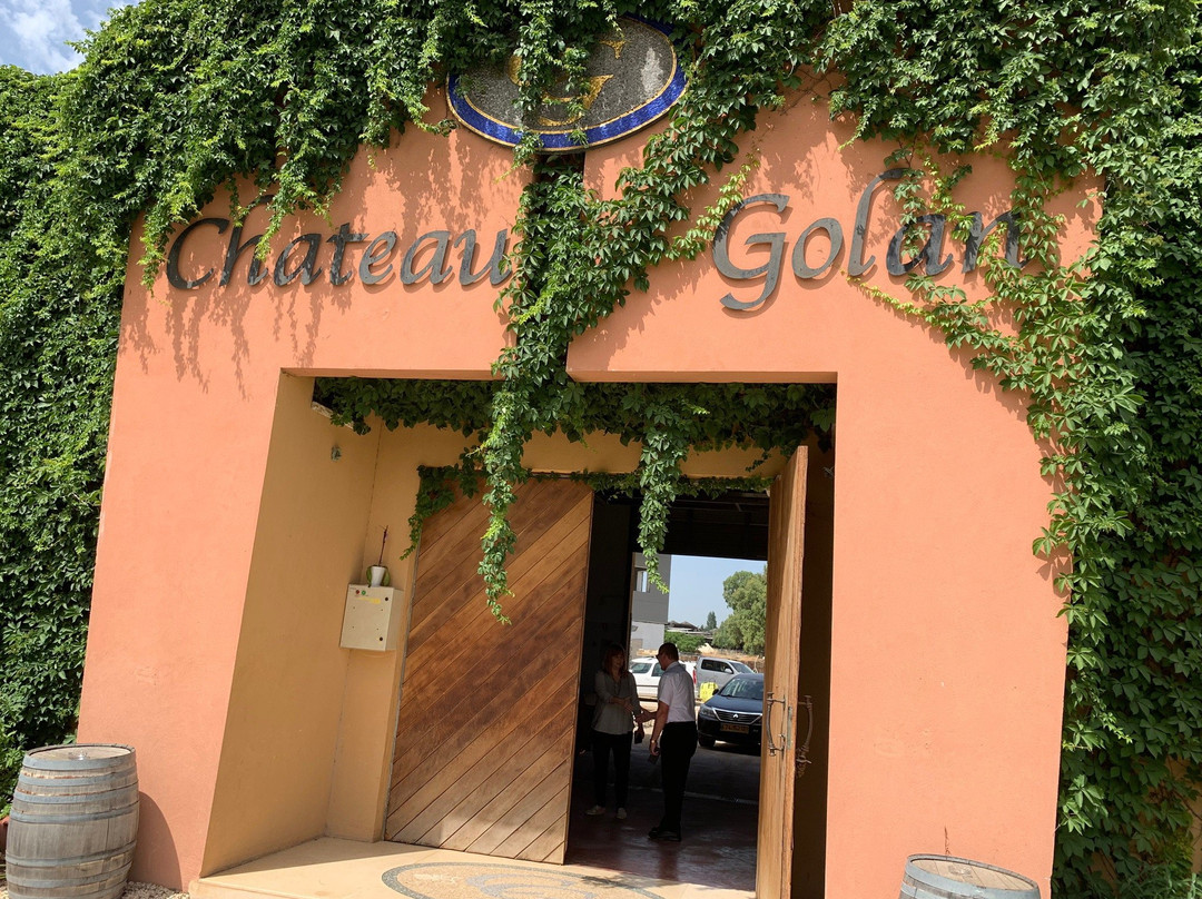 Chateau Golan Winery景点图片
