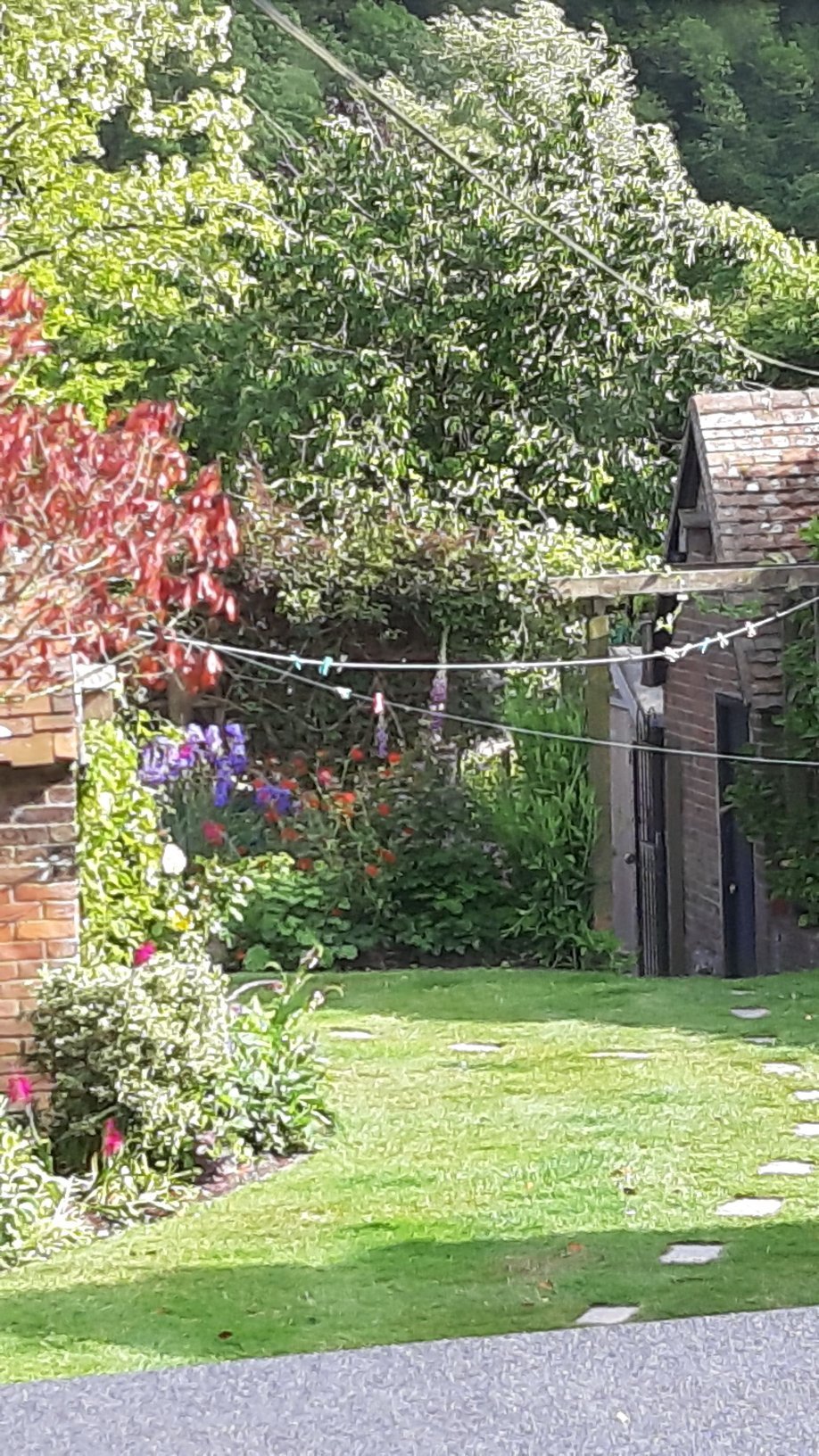 South Downs Way Bed and Breakfast-官方