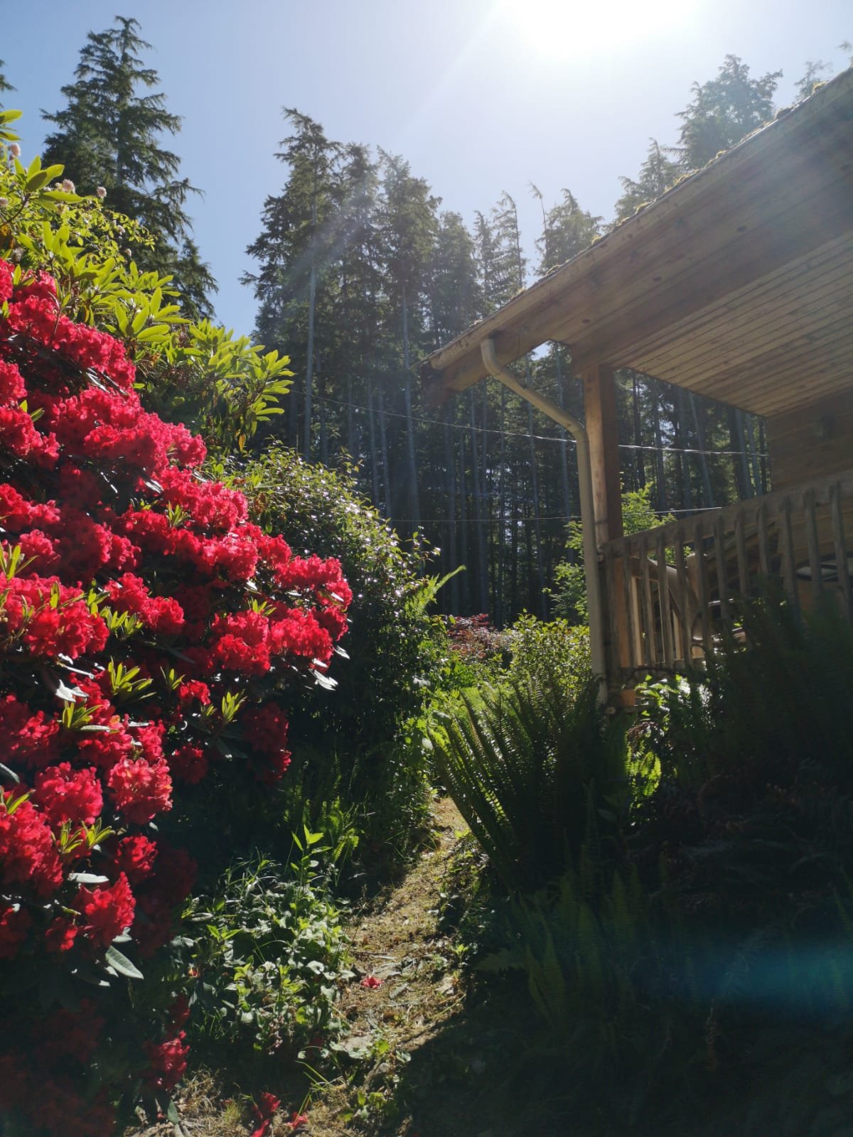 West Coast Magic Bed & Breakfast-浴室