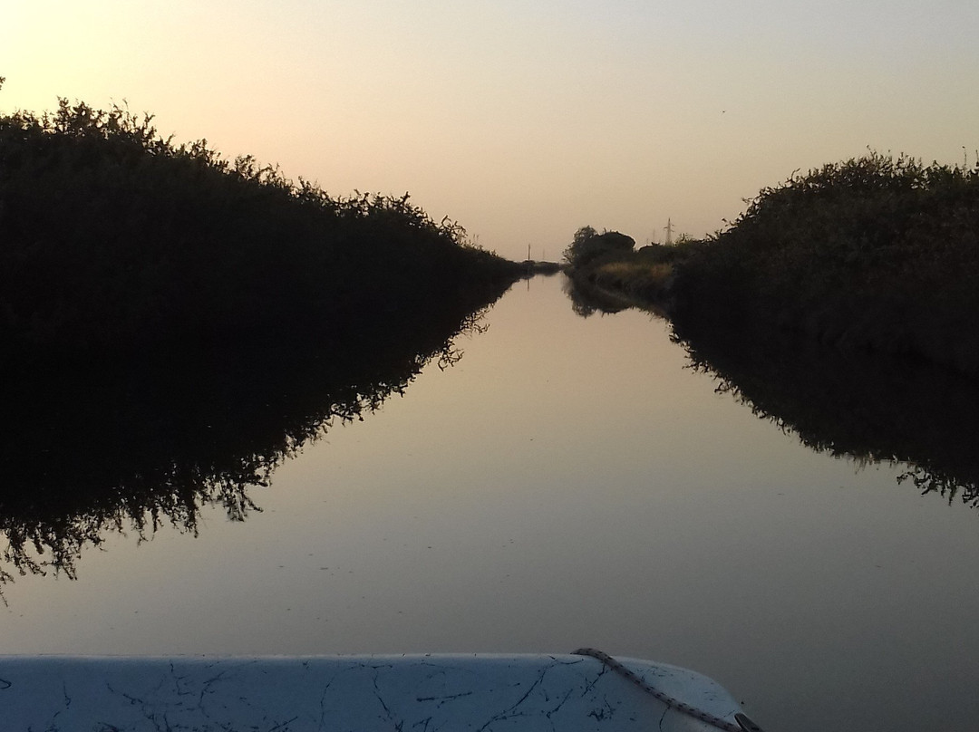 Parco della Salina di Cervia景点图片