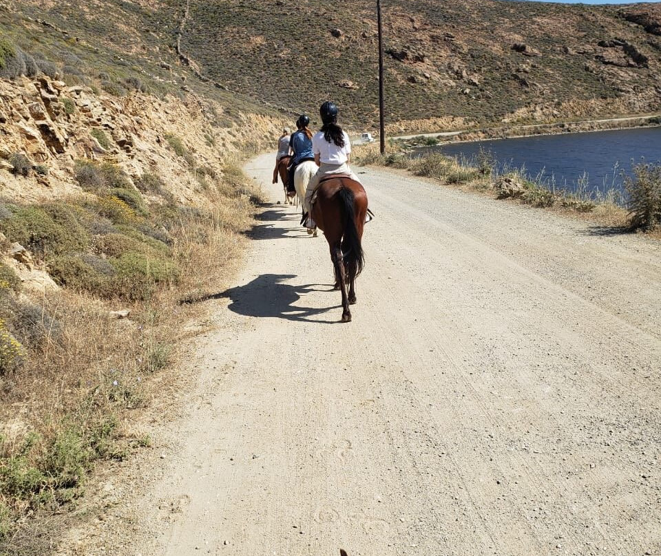 Mykonos Horseland景点图片