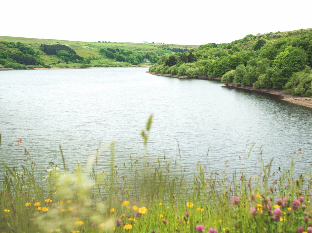 Scammonden Reservoir景点图片