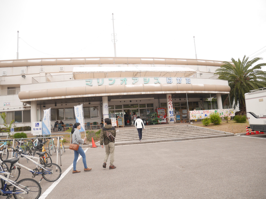 Marine Oasis Hakata-今治市必去景点