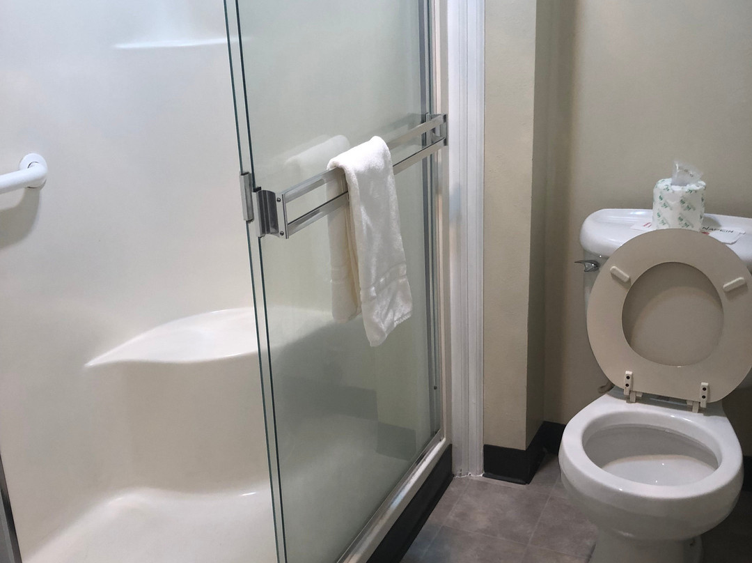 Surf Motel and Gardens主图