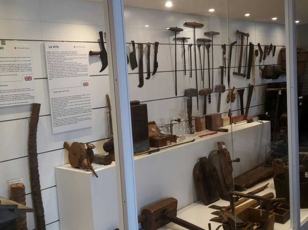 Museo Annalisa Buccellato Etno-Antropologico-戈尔福海堡必去景点
