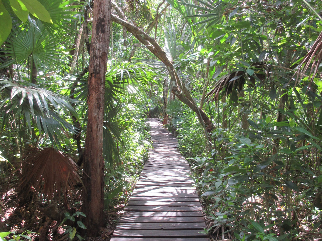 圣卡安生态保护区景点图片