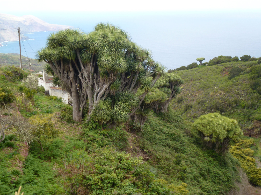 Mirador de La Tosca景点图片