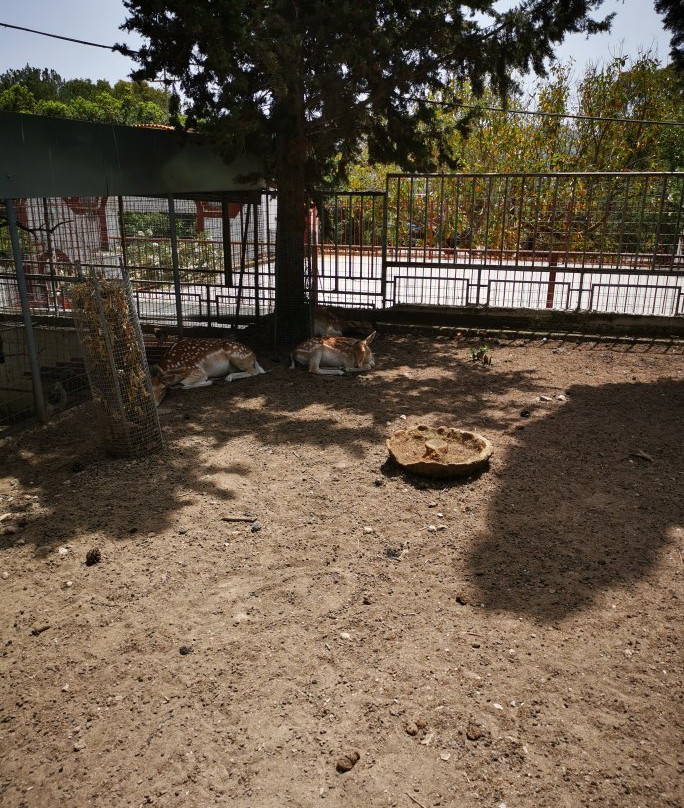 Monastery Panagia Kaliviani-Mires必去景点