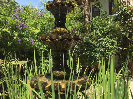 Five Star Adventures Tours-棕榈泉市必去景点