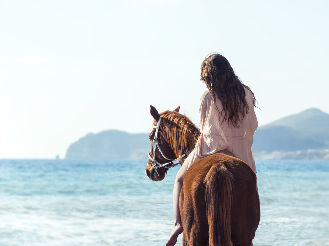 Efippos Horse Farm-维查德必去景点