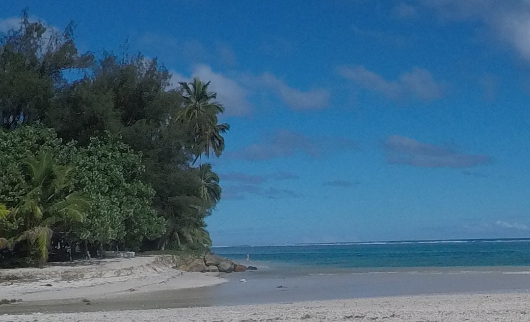 Muriavai Bungalows