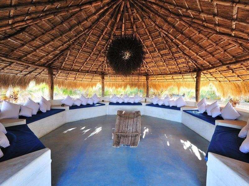 海豚海滩度假村主图