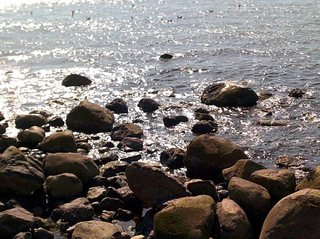 Lynn Shore-Lynn必去景点