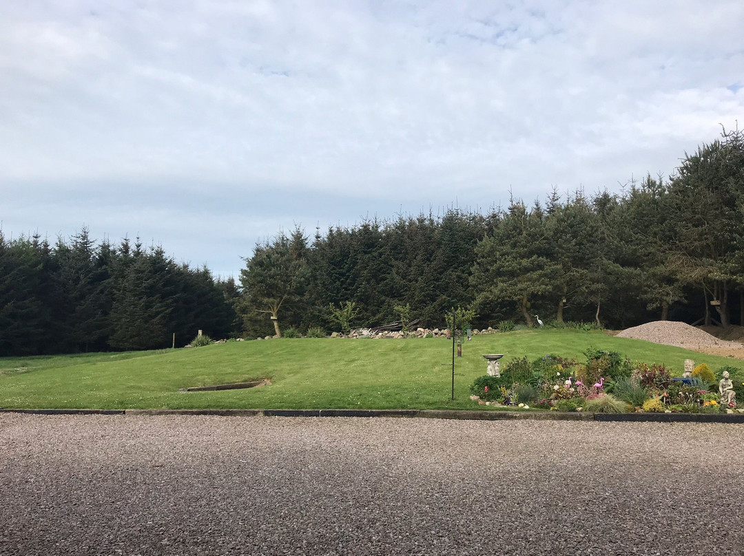 Forest View