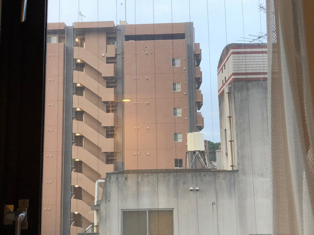 Hotel Kamoike Plaza主图