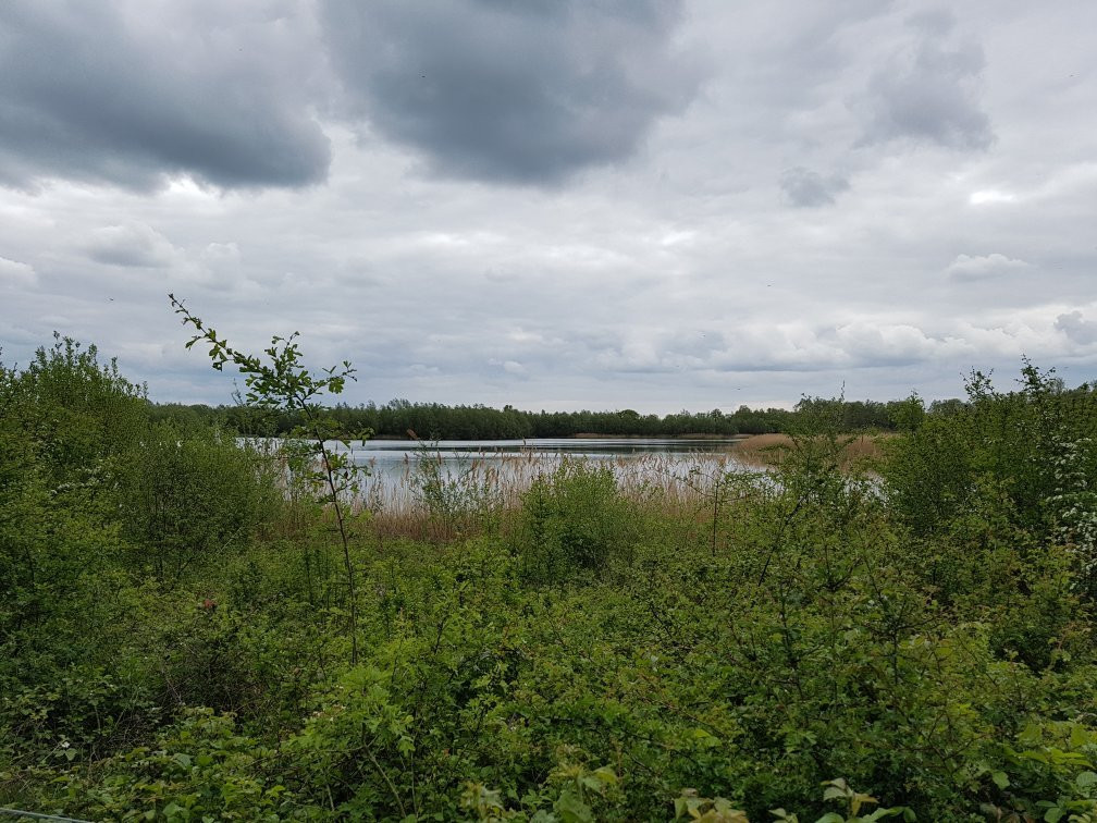 RSPB Fen Drayton Lakes景点图片