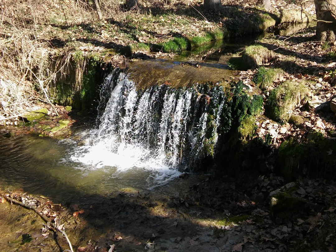 Ruta dels Molins Fariners景点图片