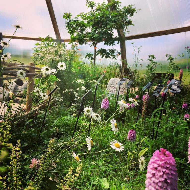 Burren Nature Sanctuary景点图片