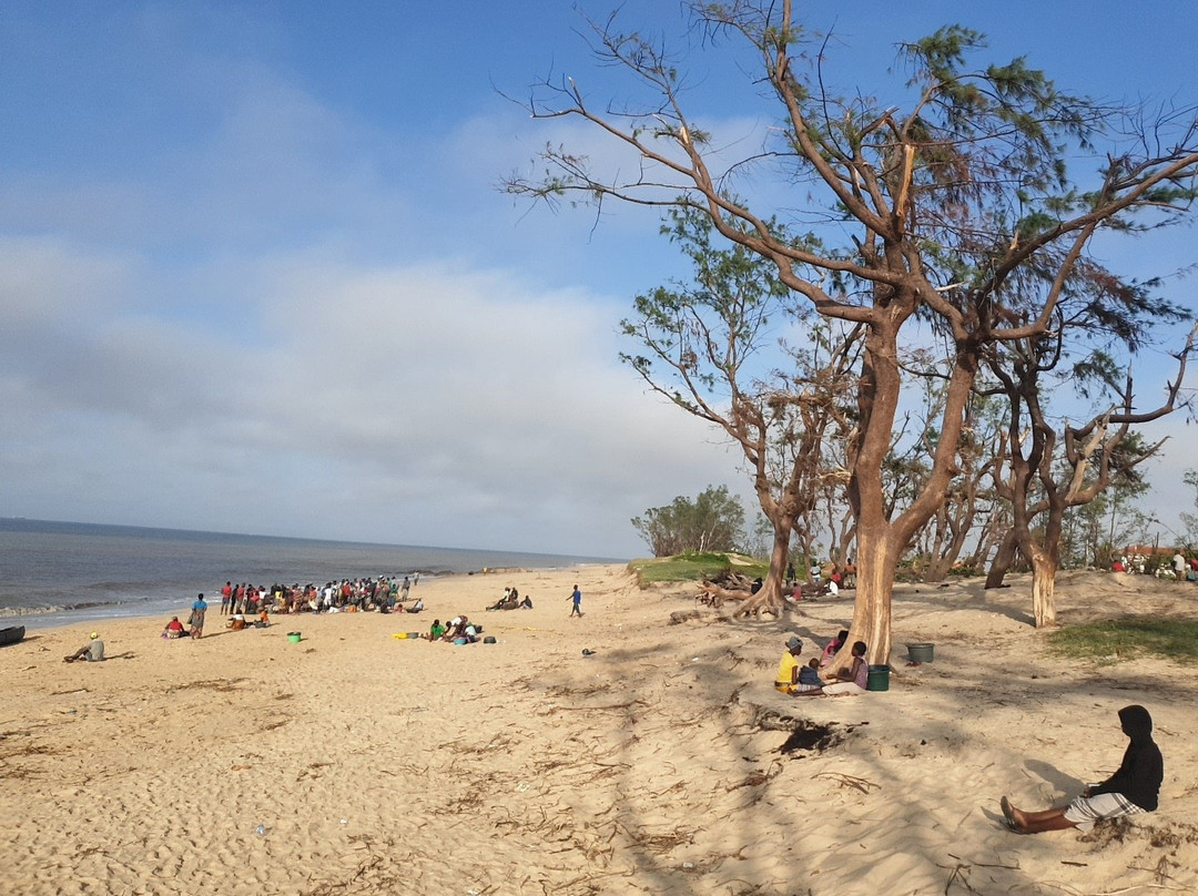 Jardim Das Velas主图