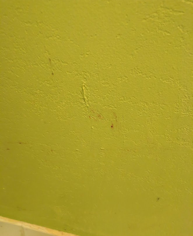 Knights Inn Cleveland, GA主图