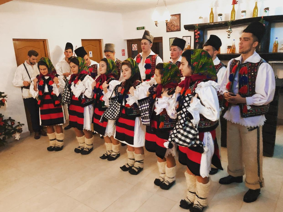 Pensiuna Maramures-Hoteni主图