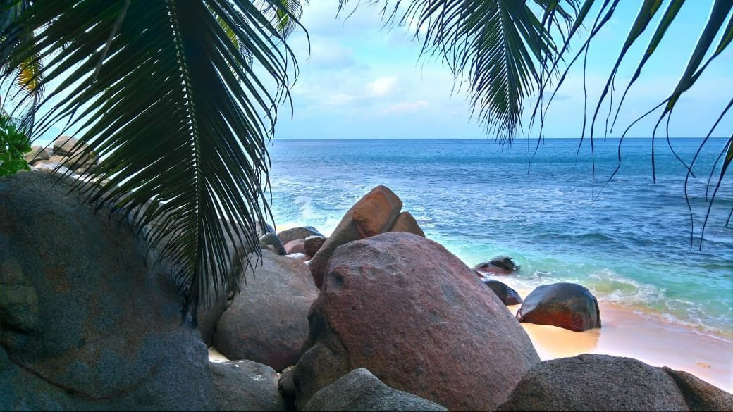 Anse Petite Marie-Louise Beach景点图片