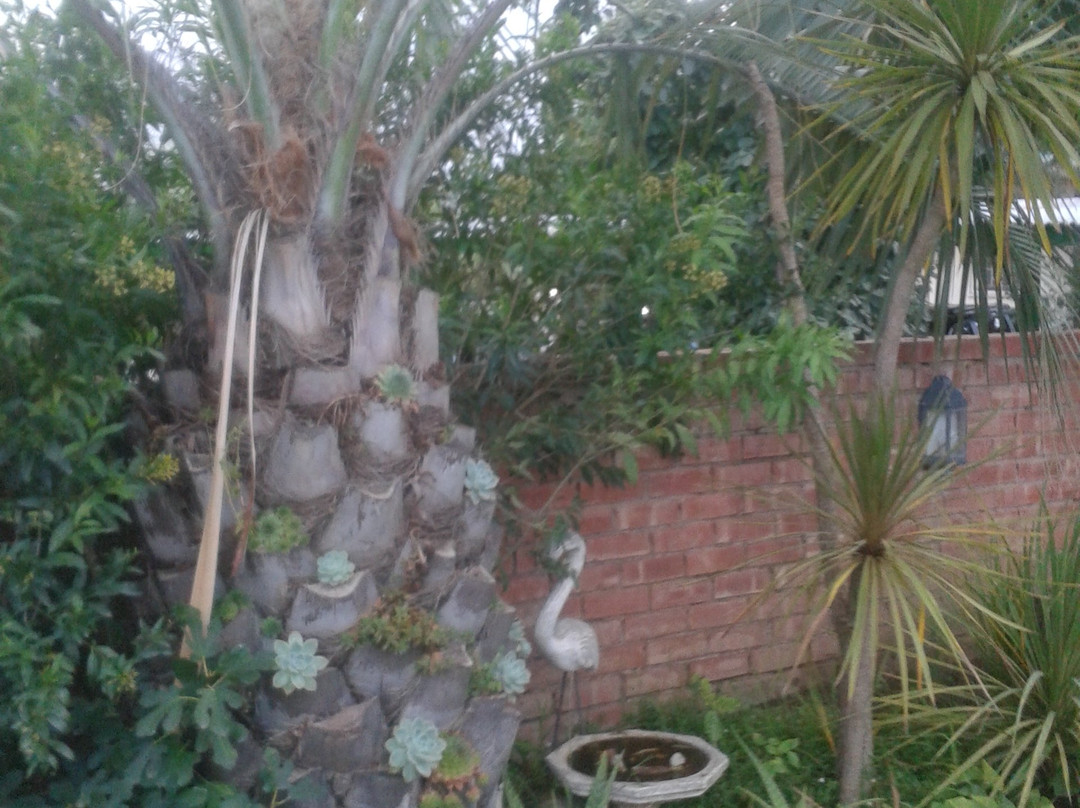 Ladybrand Guest House主图