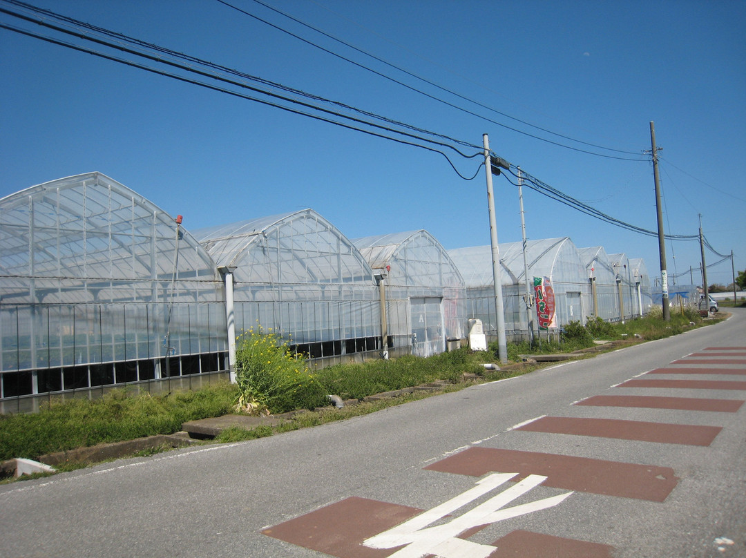 Ichinomiya Tourism Strawberry Union-一宫町必去景点