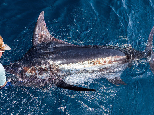 Arabian Fly Sport Fishing-塞拉莱必去景点