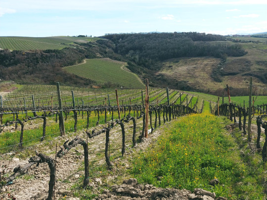 MauriTour-罗马必去景点