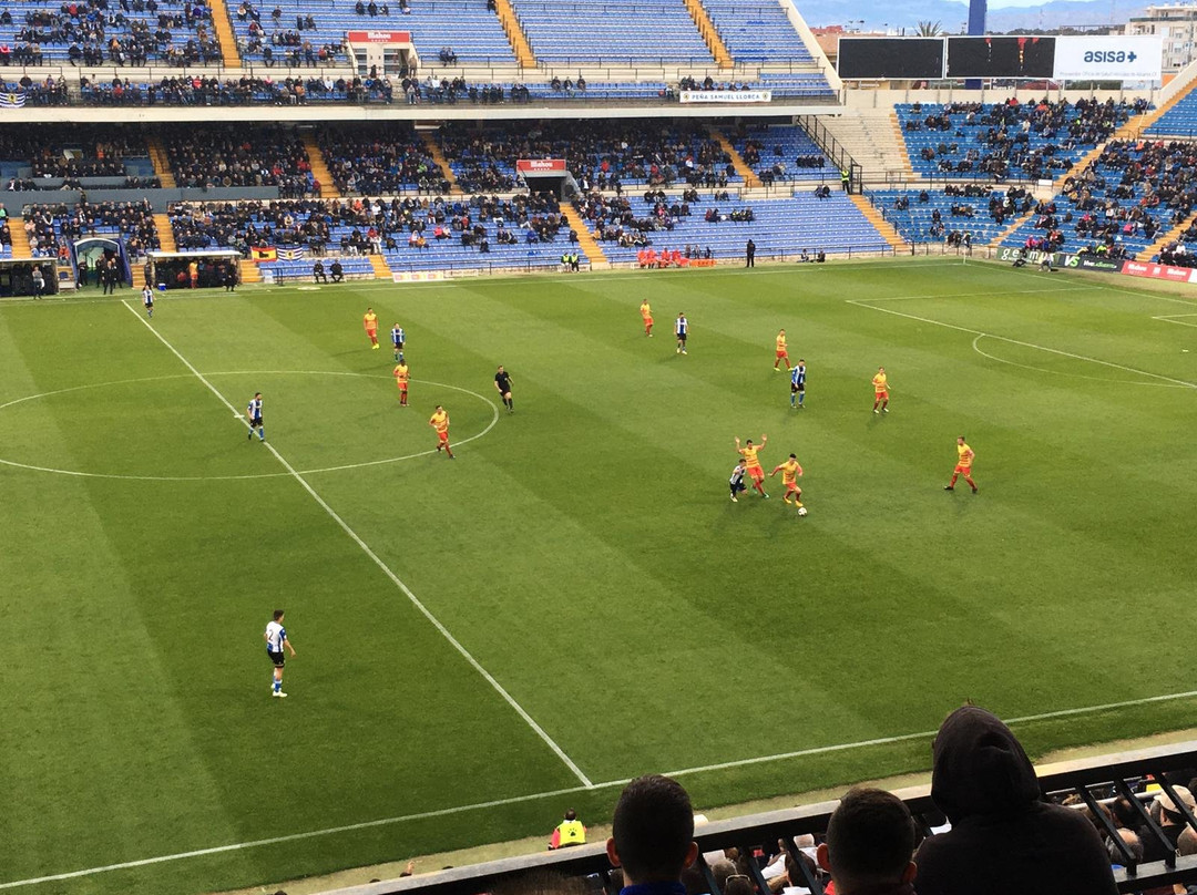 Estadio Jose Rico Perez景点图片
