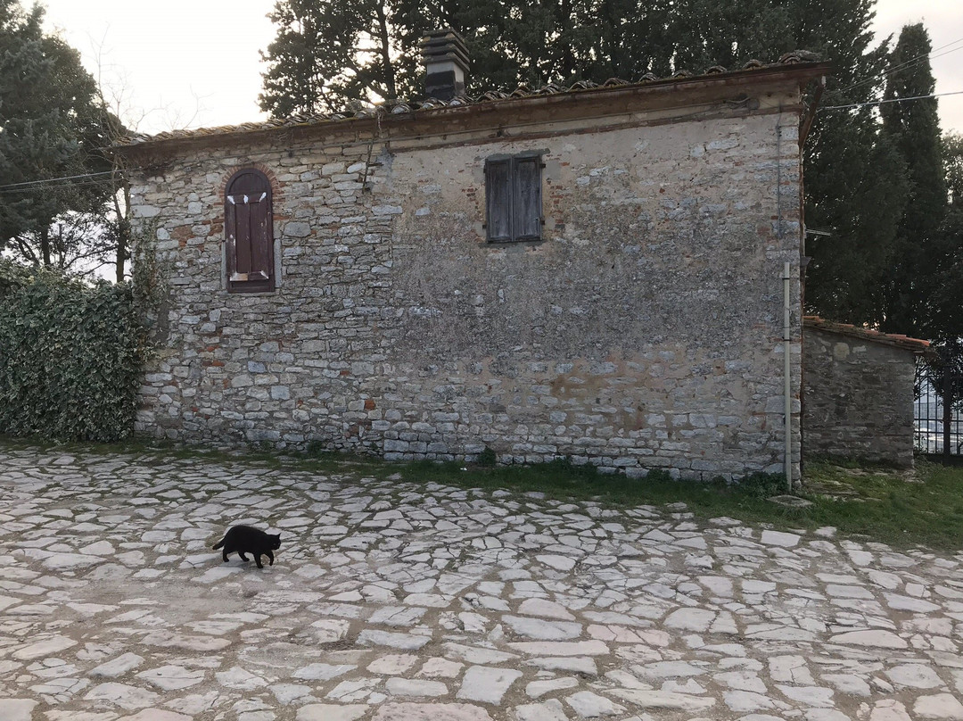 Castello di Monsummano Alto景点图片