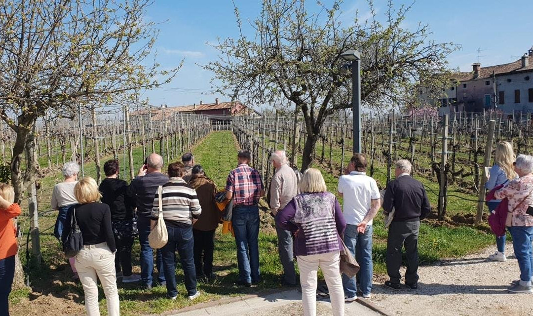 DE RIZ - Viticoltori in Conegliano Valdobbiadene景点图片