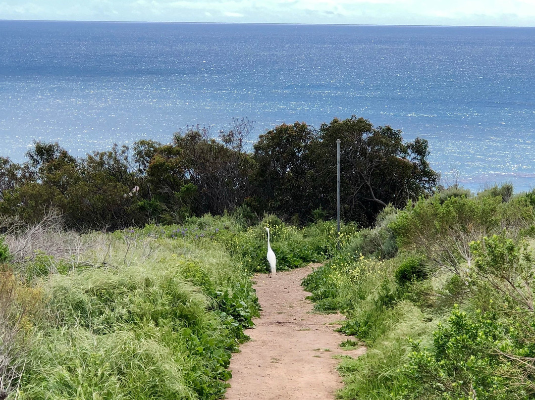 Malibu Bluffs Park景点图片