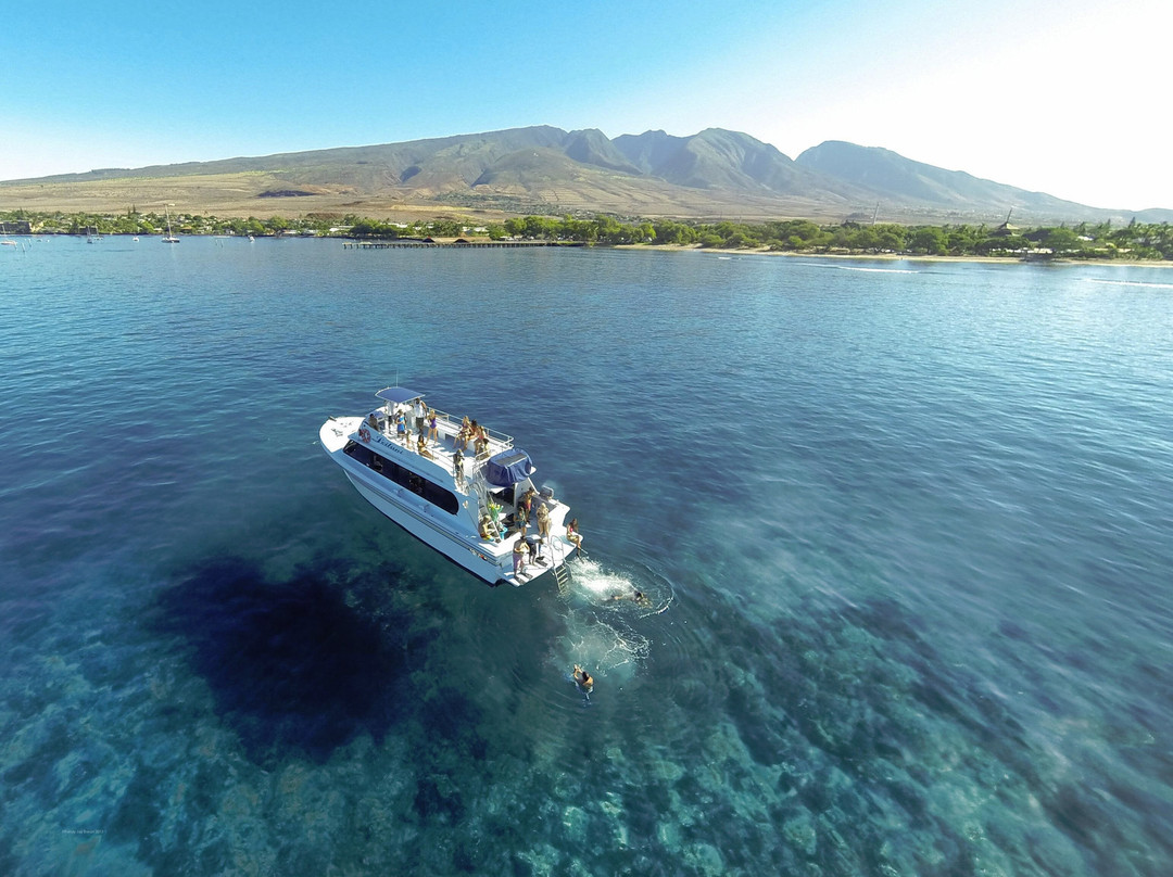 Maui Boat Trips景点图片