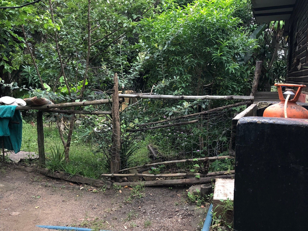 Friends Wild Coast Backpackers & Guesthouse主图