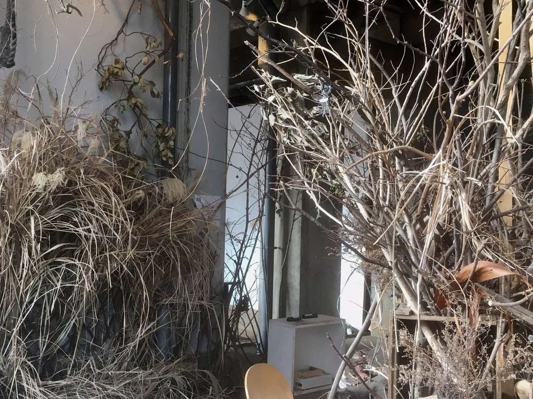 R16 Studio-Nishi必去景点