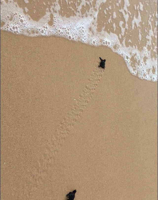 Charli Tours-亚洪加拉必去景点