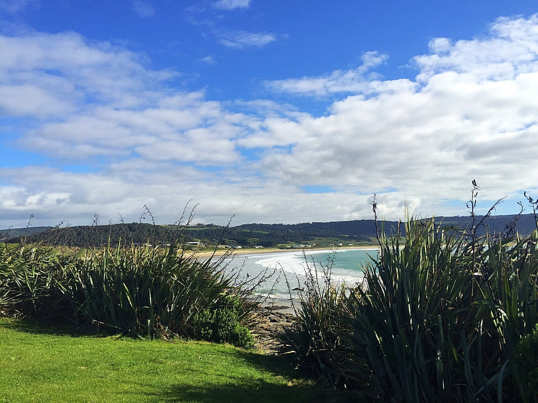 Catlins Surf School景点图片