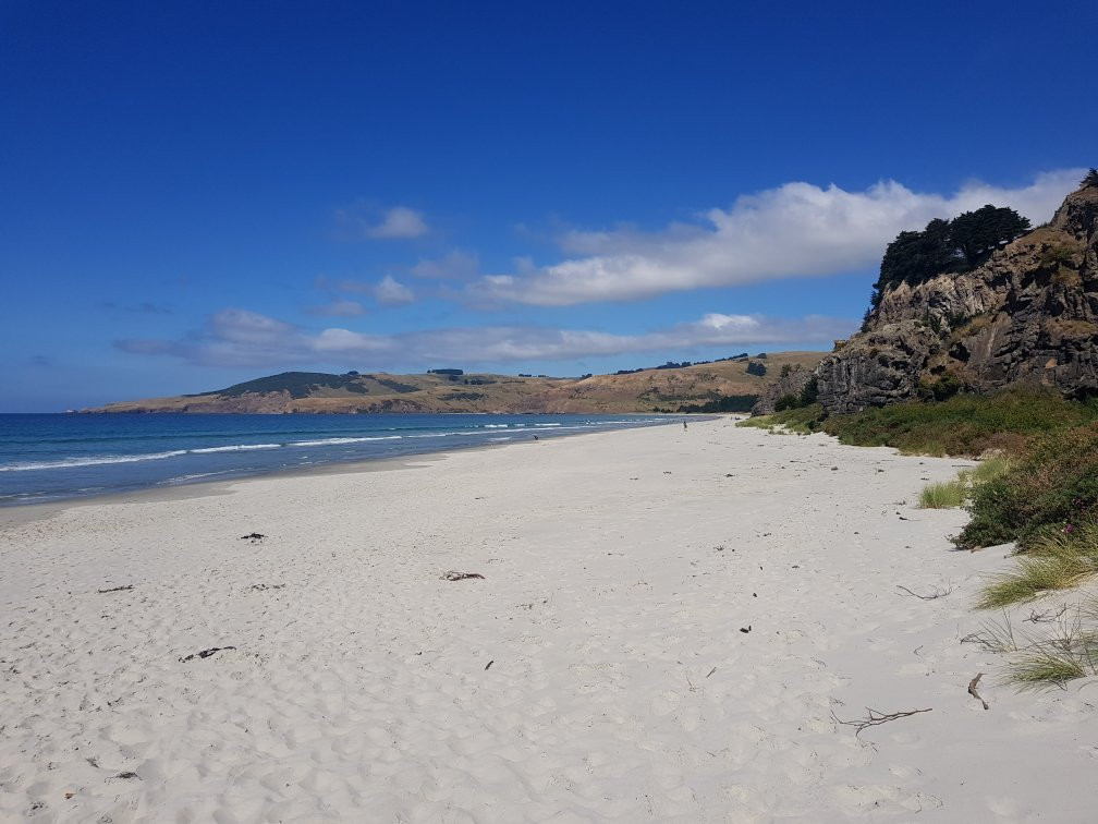 Long Beach-但尼丁必去景点