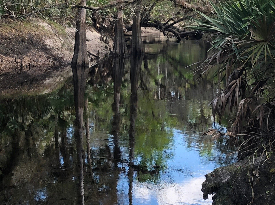 Econ River Wilderness Area-Oviedo必去景点