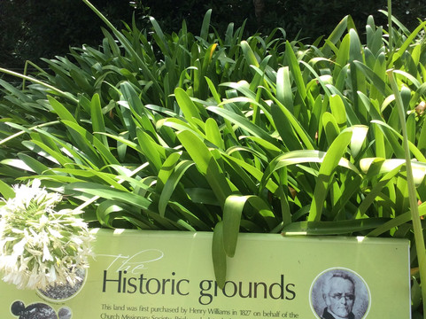 Ipipiri Bay of Islands isite Visitor Information Centre-派希亚必去景点