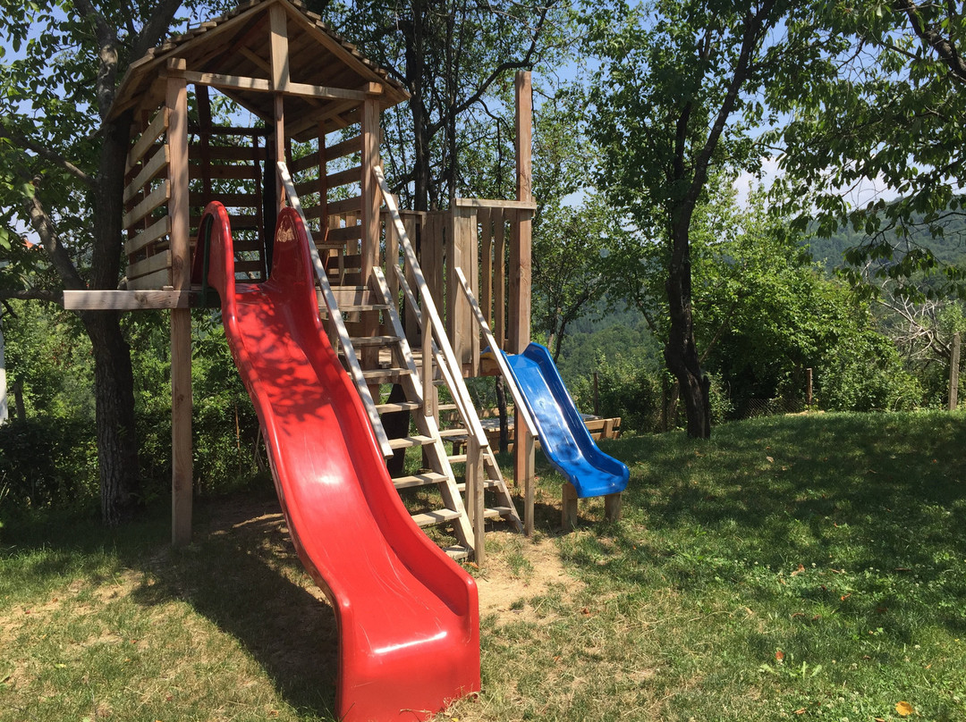 The Forest House主图