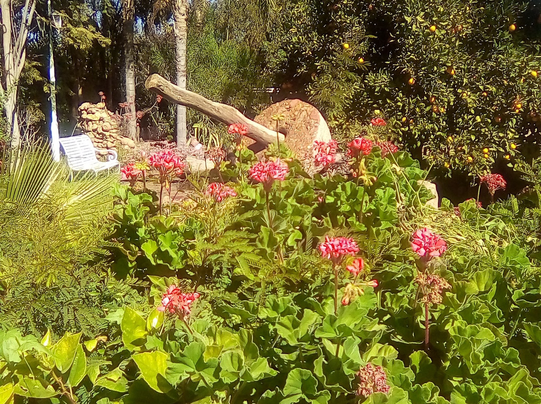 Riad Hotel l'Arganier d'Or主图