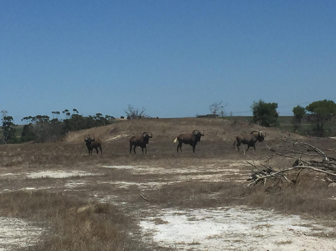 Picturesque Tours-Goodwood必去景点