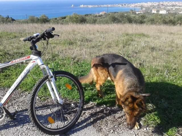 MethoniBikes-Methoni必去景点