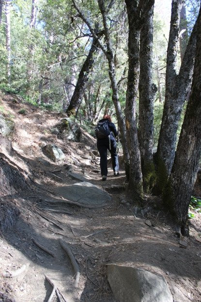 Corlieu Falls-奥克赫斯特必去景点