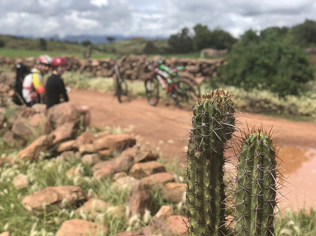 Off Road Bolivia景点图片