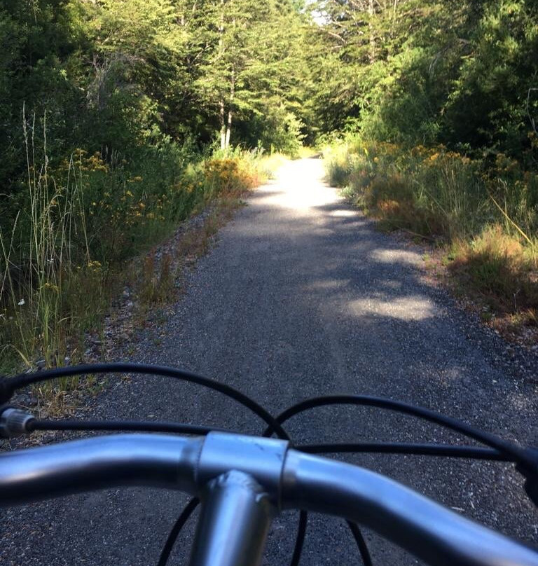 Newenpullu, Hostal y Cabanas主图