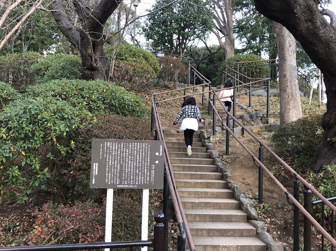 Mita旅游攻略图片